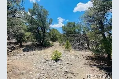 65 Mill Run, Alamosa, CO 81101 - Photo 4