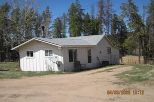 31511 Shadow Mountain Dr, Conifer, CO 80433 - Photo 1