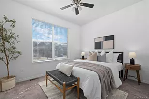 8741 Ginkgo Loop, Parker, CO 80134 - Photo 24