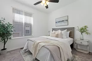 8741 Ginkgo Loop, Parker, CO 80134 - Photo 28