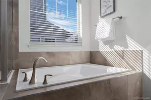 8741 Ginkgo Loop, Parker, CO 80134 - Photo 22