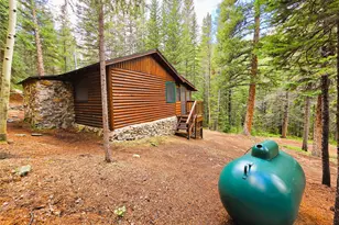 872 Hefferman Gulch Rd, Idaho Springs, CO 80452 - Photo 30