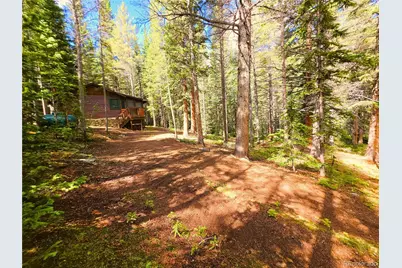 872 Hefferman Gulch Road, Idaho Springs, CO 80452 - Photo 34
