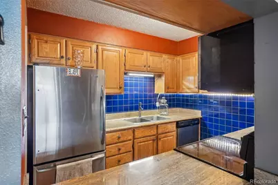 1313 N Williams Street #405, Denver, CO 80218 - Photo 10