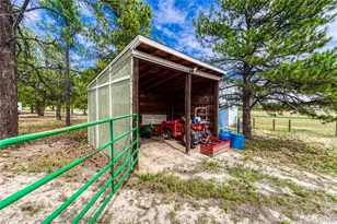 37140 Pheasant Run, Elizabeth, CO 80107 - Photo 46