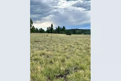 531 Aspen Way Drive, Florissant, CO 80816 - Photo 28