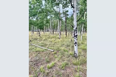 531 Aspen Way Drive, Florissant, CO 80816 - Photo 10