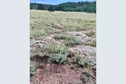 531 Aspen Way Drive, Florissant, CO 80816 - Photo 26