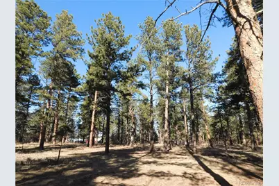 5845 S Pike Drive, Larkspur, CO 80118 - Photo 8