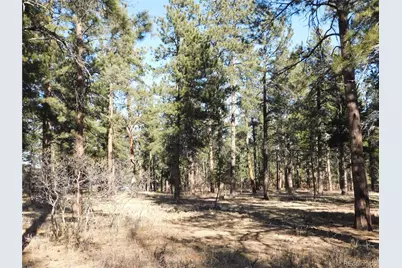 5845 S Pike Drive, Larkspur, CO 80118 - Photo 22