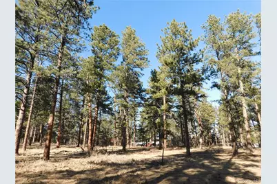 5845 S Pike Drive, Larkspur, CO 80118 - Photo 6
