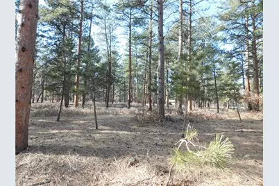 5845 S Pike Drive, Larkspur, CO 80118 - Photo 28