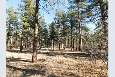 5845 S Pike Drive, Larkspur, CO 80118 - Photo 12