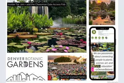 1313 N Williams Street #503, Denver, CO 80218 - Photo 22