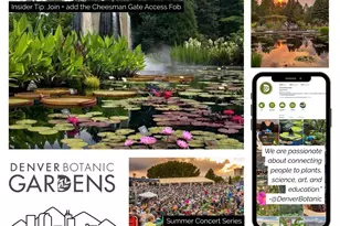 1313 N Williams St, Denver, CO 80218 - Photo 22