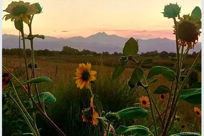 2832 County Road 20, Longmont, CO 80504 - Photo 20