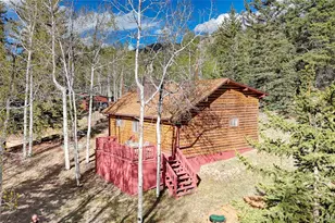 128 Brook Dr, Lake George, CO 80827 - Photo 2