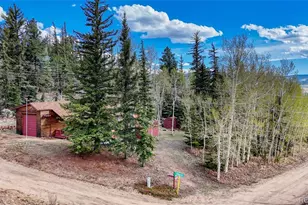 128 Brook Dr, Lake George, CO 80827 - Photo 10