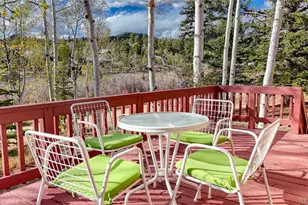 128 Brook Dr, Lake George, CO 80827 - Photo 12