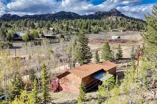 128 Brook Dr, Lake George, CO 80827 - Photo 4