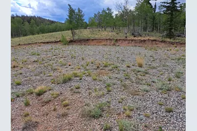 6206 Remington Road, Como, CO 80432 - Photo 10