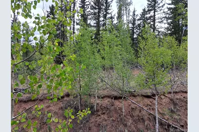 6206 Remington Road, Como, CO 80432 - Photo 2