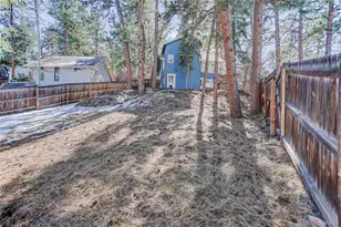 4784 S Pine Rd, Evergreen, CO 80439 - Photo 48