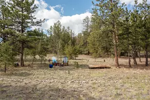 730 Lariat Loop, Hartsel, CO 80449 - Photo 40