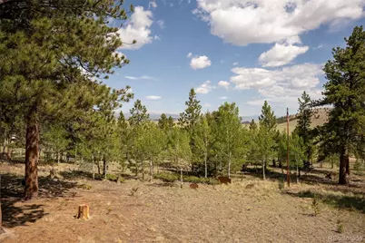 730 Lariat Loop, Hartsel, CO 80449 - Photo 8