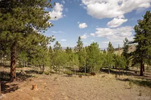 730 Lariat Loop, Hartsel, CO 80449 - Photo 8