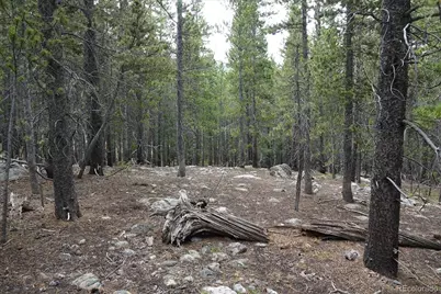 00 Upper Forest Rd, Idaho Springs, CO 80452 - Photo 4