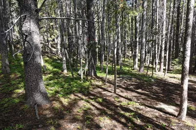 00 Upper Forest Rd, Idaho Springs, CO 80452 - Photo 6