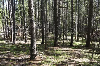 00 Upper Forest Rd, Idaho Springs, CO 80452 - Photo 2