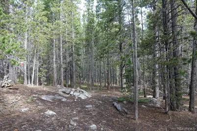 00 Upper Forest Rd, Idaho Springs, CO 80452 - Photo 12