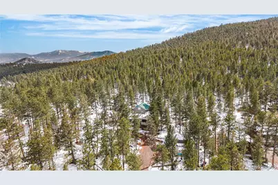82 Iris Drive, Bailey, CO 80421 - Photo 40