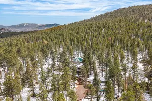82 Iris Dr, Bailey, CO 80421 - Photo 40
