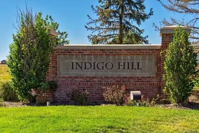 557 Stellars Jay Drive, Highlands Ranch, CO 80129 - Photo 40