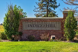 557 Stellars Jay Dr, Highlands Ranch, CO 80129 - Photo 40