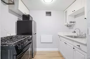 1010 N Downing St, Denver, CO 80218 - Photo 14