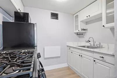 1010 N Downing Street #9, Denver, CO 80218 - Photo 12