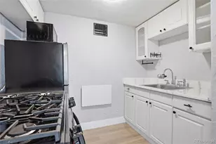 1010 N Downing St, Denver, CO 80218 - Photo 16