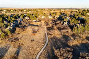 268 Woodstock Ln, Castle Pines, CO 80108 - Photo 40