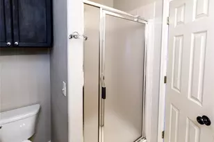 343 Chelsea St, Castle Rock, CO 80104 - Photo 32