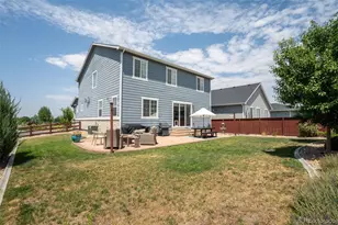 1811 Branching Canopy Dr, Windsor, CO 80550 - Photo 34
