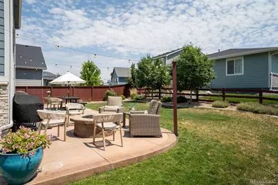 1811 Branching Canopy Drive, Windsor, CO 80550 - Photo 36