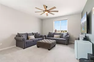 1811 Branching Canopy Dr, Windsor, CO 80550 - Photo 20