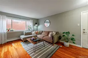 1332 N Williams St, Denver, CO 80218 - Photo 6