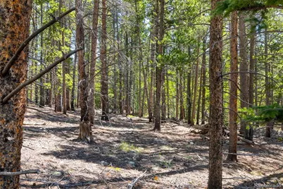 715 Lewsader Road, Alma, CO 80420 - Photo 16