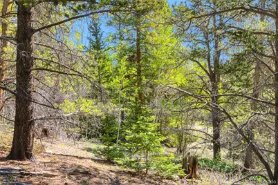 715 Lewsader Road, Alma, CO 80420 - Photo 18