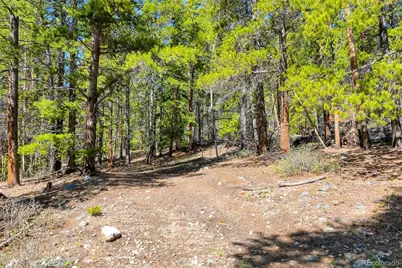 715 Lewsader Road, Alma, CO 80420 - Photo 20